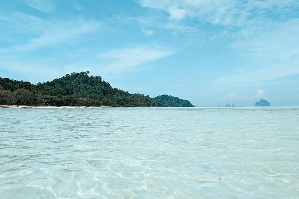Évasion Revigorante : Découvrez la Montagne pour un Séjour Bien-être Trendy