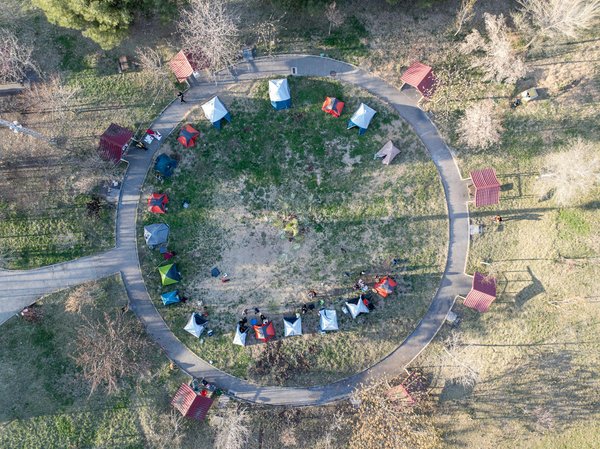 Les trains nocturnes : une façon économique pour voyager